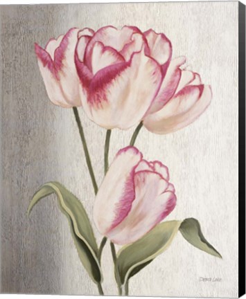 Framed Parrot Tulips Print