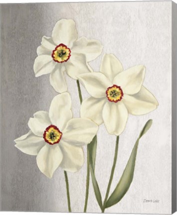 Framed Spring Narcissus Print