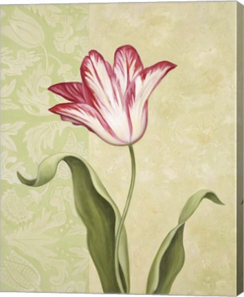 Framed Tulip 2 Print