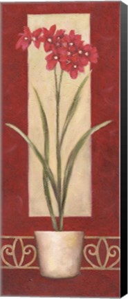 Framed Red Flower In Pot Print