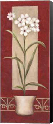 Framed White Flowers In Pot Print