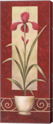 Framed Red Flower In Pot 2 Print