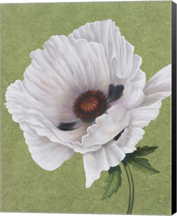 Framed White Poppy Print