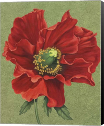Framed Red Poppy 2 Print