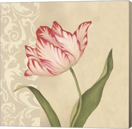 Framed Cream Tulip Print