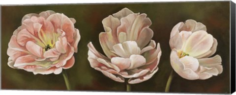 Framed Summer Blossoms 2 Print