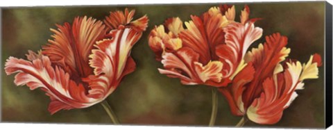 Framed Summer Blossoms 3 Print