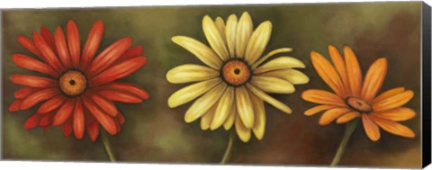 Framed Summer Blossoms 4 Print