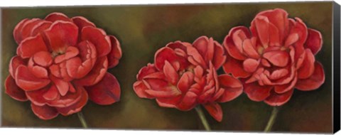 Framed Summer Blossoms 1 Print