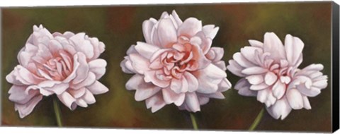 Framed Summer Blossoms 5 Print