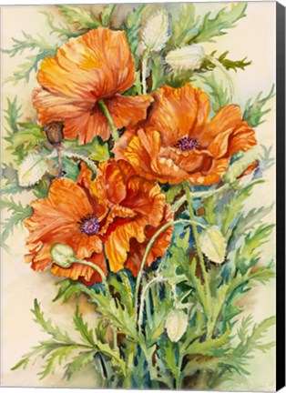 Framed Cluster of Poppies Print