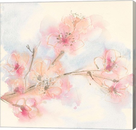 Framed Pink Blossoms II Print