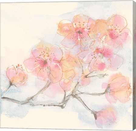 Framed Pink Blossoms III Print