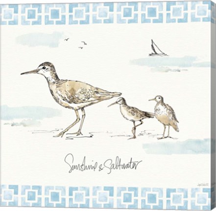 Framed Sandpiper Sea II Print