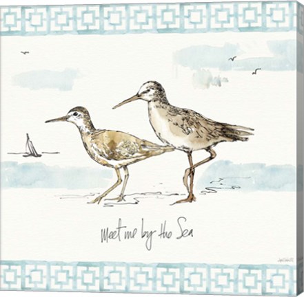 Framed Sandpiper Sea IV Print