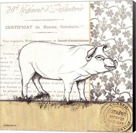 Framed Vintage Pig Print