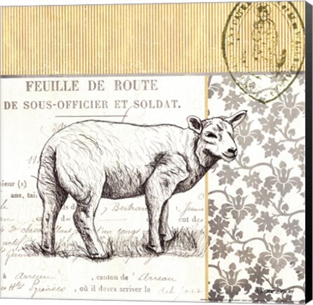 Framed Vintage Sheep Print