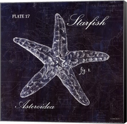 Framed Starfish Print