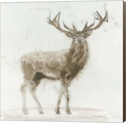 Framed Stag Print