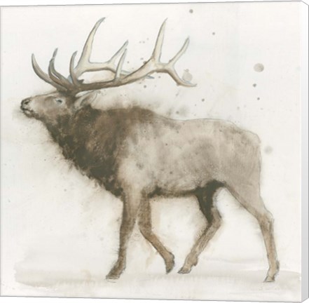 Framed Elk Print