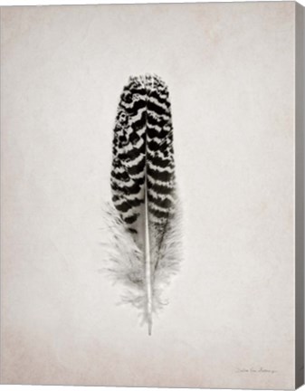 Framed Feather I BW Print