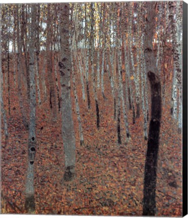 Framed Forest of Beech Trees Print
