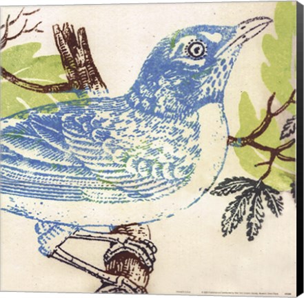 Framed Bluebird Print