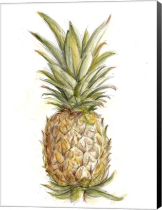 Framed Pineapple Sketch II Print