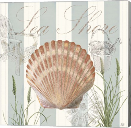 Framed Seashells by the Seashore II Print