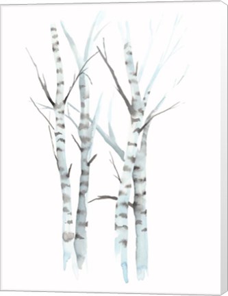 Framed Aquarelle Birches I Print