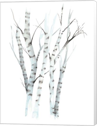 Framed Aquarelle Birches II Print