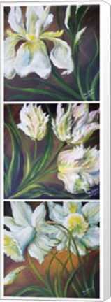 Framed Spring Symphony In White Print