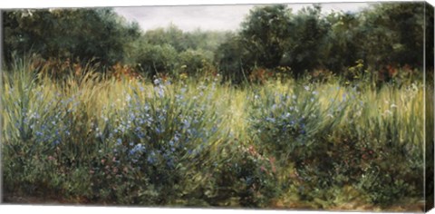 Framed Dorset Wildflowers Print