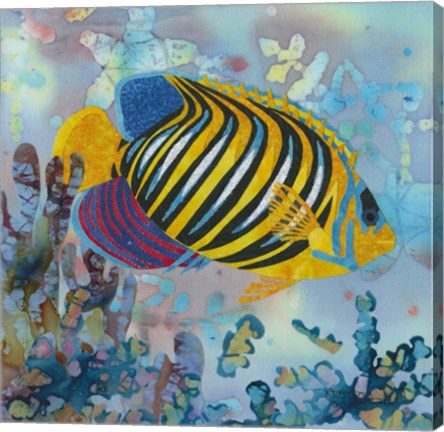 Framed Regal Angel Fish Print