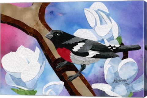 Framed Rose Breasted Grosbeak Print