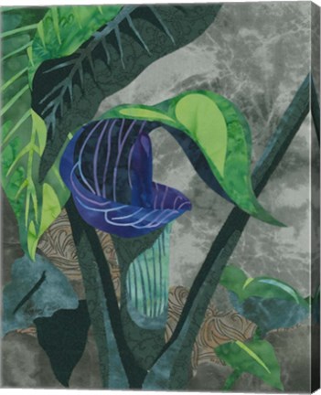Framed Jack In The Pulpit Print