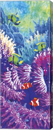 Framed Coral Reef Print