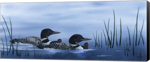 Framed Family of Loons Print