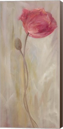 Framed Poppies II Print