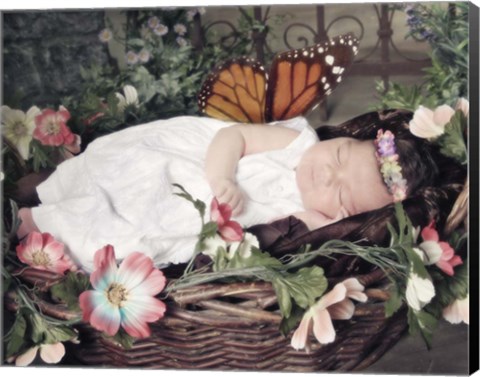 Framed Fairy Dreams Print