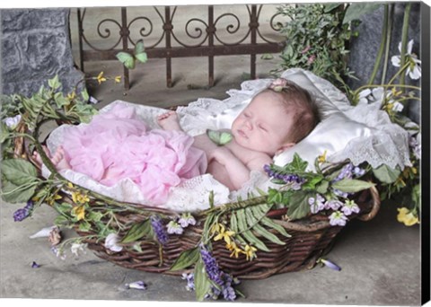 Framed Sleeping Baby Print