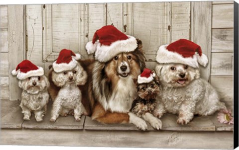 Framed Dogs Christmas Print