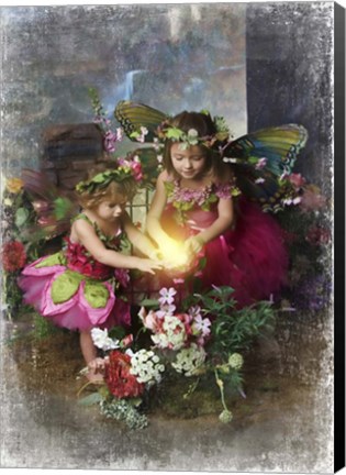 Framed Fairies Find the Light Print