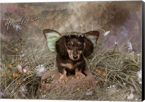 Framed Fairy Dog Print