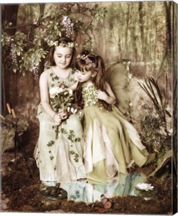 Framed Fairies in Forest Print