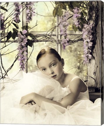 Framed Wisteria Window Print