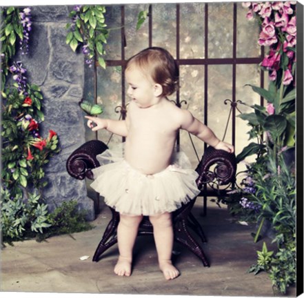 Framed Visiting Butterfly Print