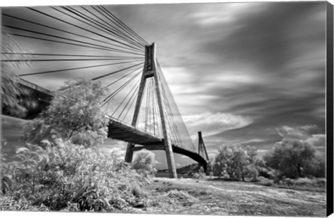 Framed First Link Print