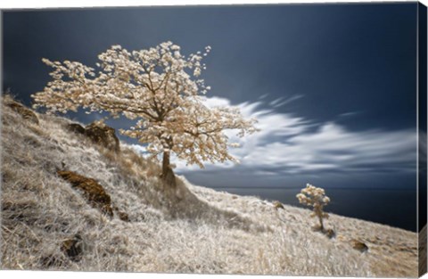 Framed Mother and Child Print