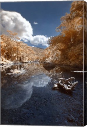 Framed Unflappable Print